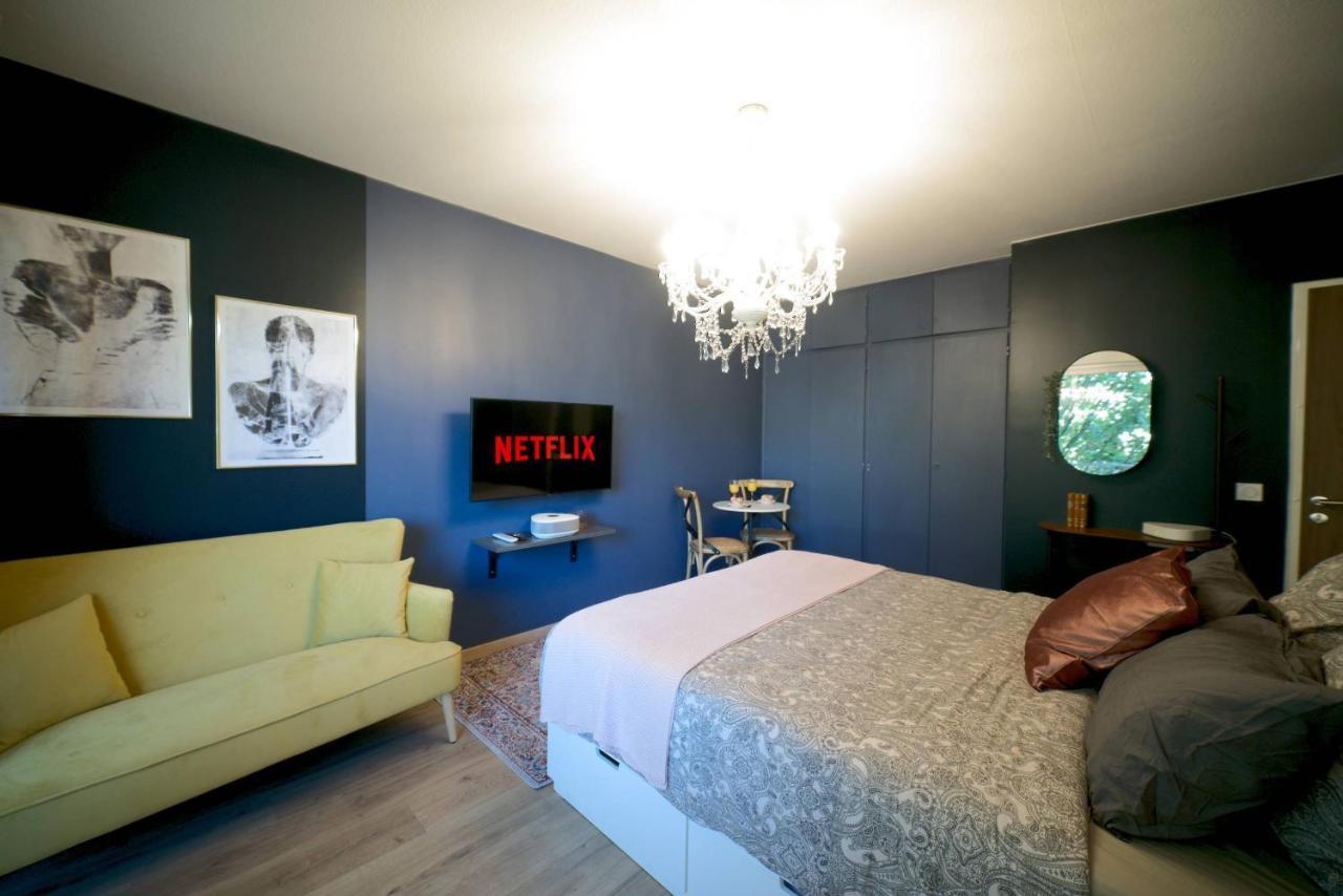 Le Boudoir, Centre Ville, Parking Couvert Inclus Mulhouse Kültér fotó